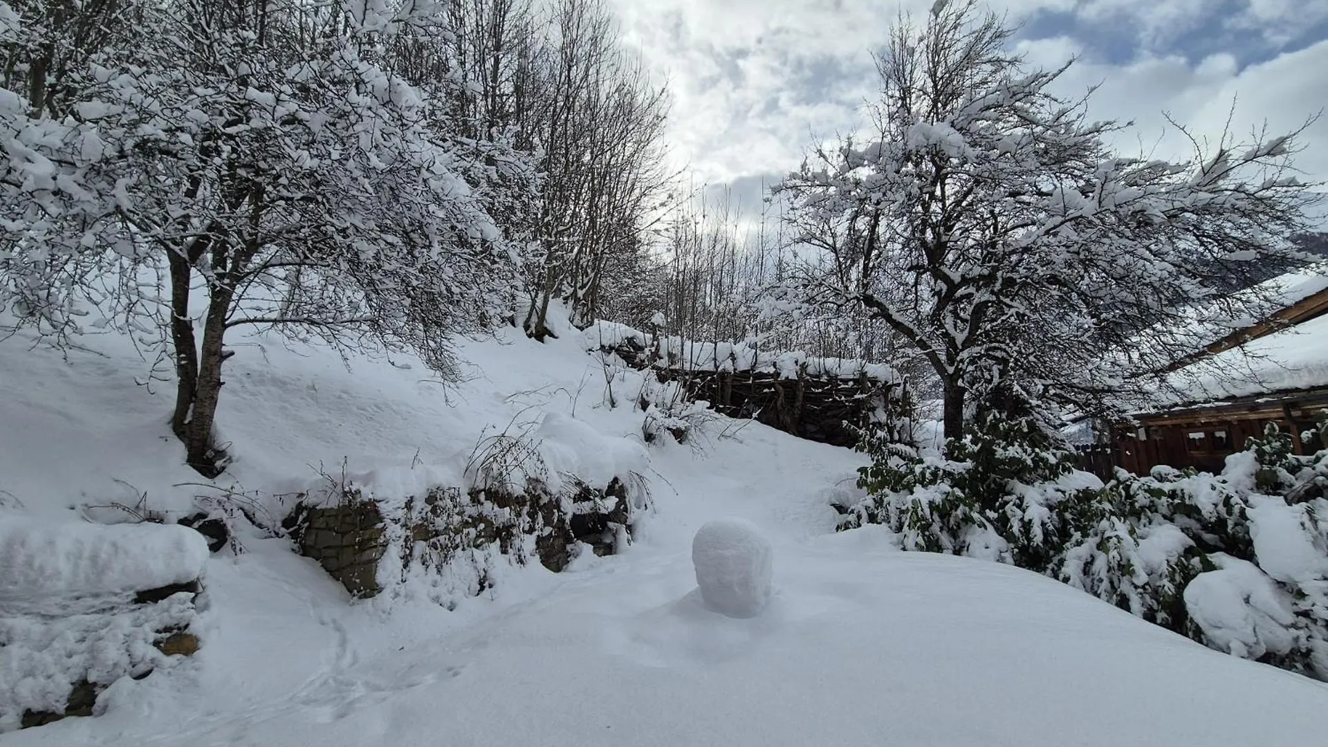 La Masure Magnifique Chalet - Proche Domaine St Foy Sainte-Foy-Tarentaise Francia